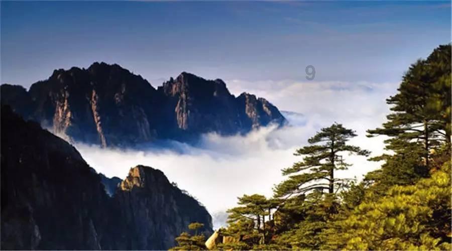 董宇辉被抛弃？直播间里深深鞠躬和粉丝道别，他将会何去何从！